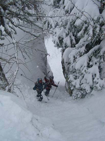 OFFPISTE, FREERIDE, MONT BLANC