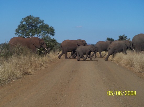  SOUTH AFRICA MAY/JUNE 2008