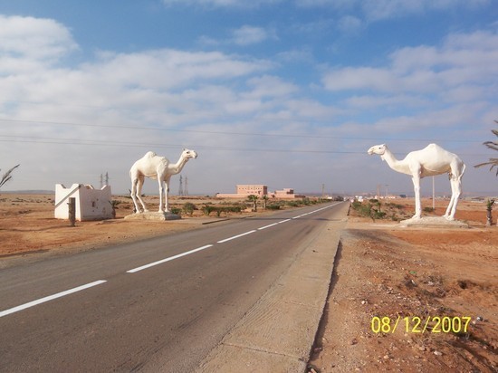  MAROCCO